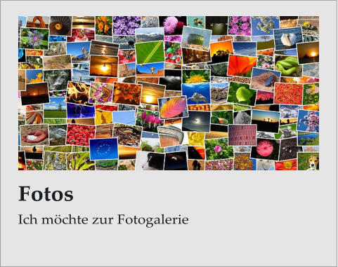 FotosIch mchte zur Fotogalerie