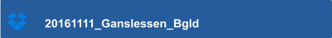 20161111_Ganslessen_Bgld