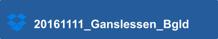 20161111_Ganslessen_Bgld