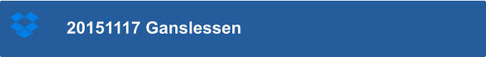 20151117 Ganslessen
