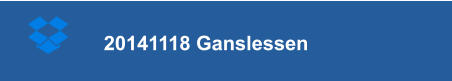 20141118 Ganslessen