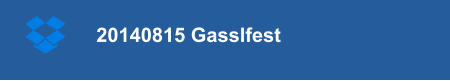 20140815 Gasslfest