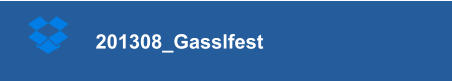 201308_Gasslfest