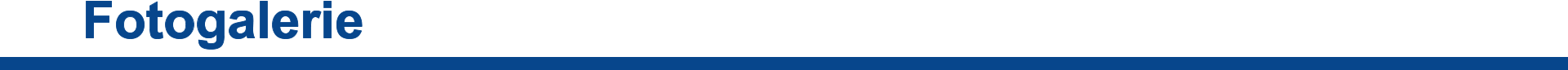 Fotogalerie