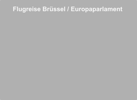 Flugreise Brssel / Europaparlament
